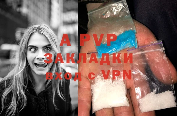 крисы Нея