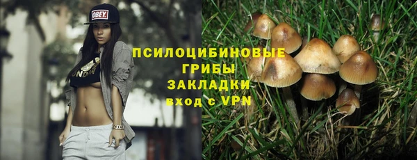 крисы Нея