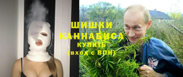 крисы Волоколамск