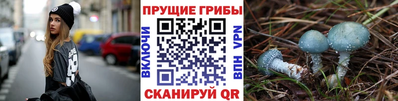 KRAKEN зеркало  Тетюши  маркетплейс Telegram  Псилоцибиновые грибы прущие грибы 