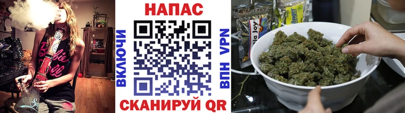 Конопля семена Тетюши